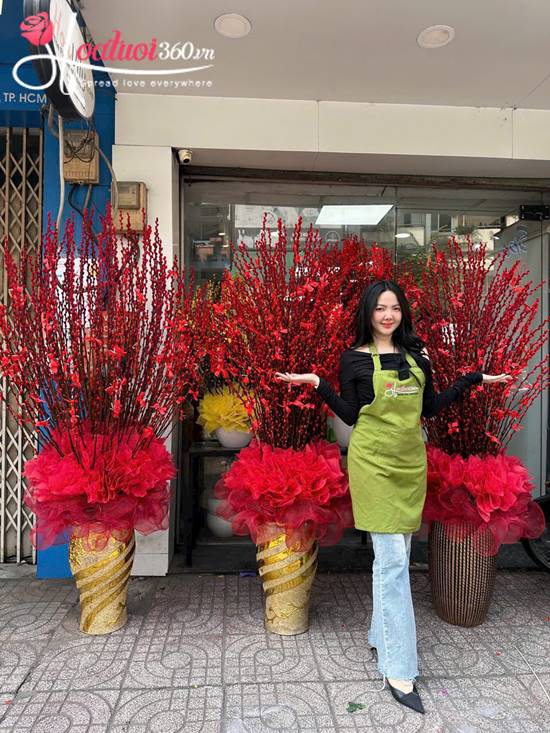 Nụ tầm xuân đỏ vàng - Phát tài phát lộc