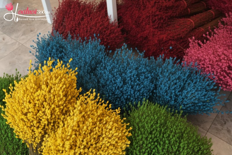 Nụ tầm xuân có những màu gì