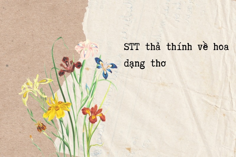 Mẫu thơ thả thính về hoa đăng stt