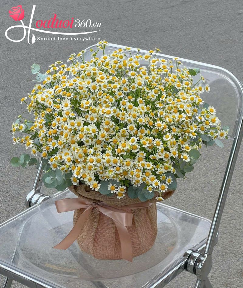 giỏ hoa cúc tana cảm ơn