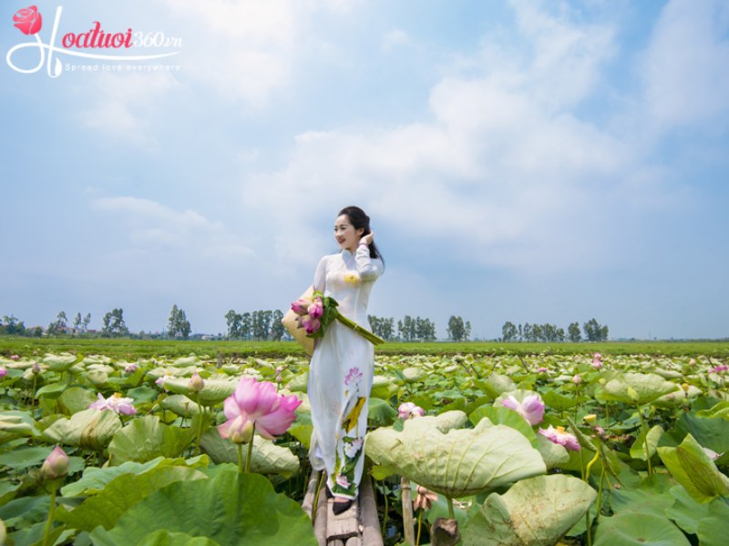 Ý nghĩa hoa sen ca ngợi vẻ đẹp người phụ nữ