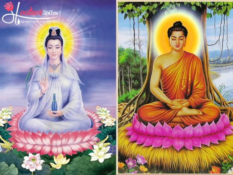 ý nghĩa tượng trưng của hoa sen