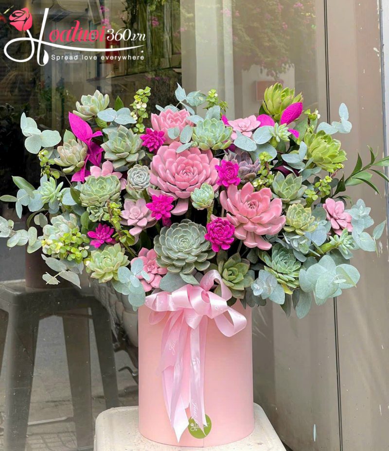 ý nghĩa hoa sen đá trong tình yêu