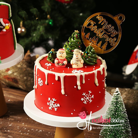 Bánh kem Noel - Hòa nhịp giáng sinh