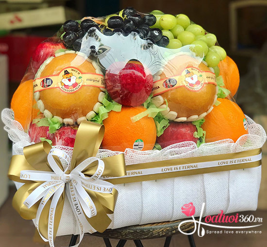 Giỏ trái cây - Sắc màu cuộc sống