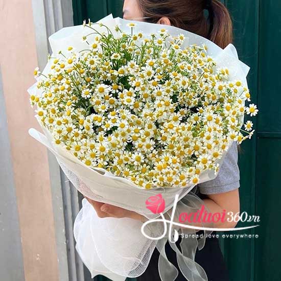 Bó hoa cúc tana - Vẻ đẹp thanh nhã