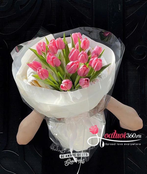 Bó hoa tulip hồng - Khúc ca dịu dàng