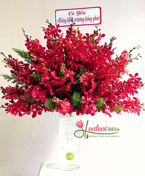 Bình hoa chúc mừng - Tứ phương vang danh