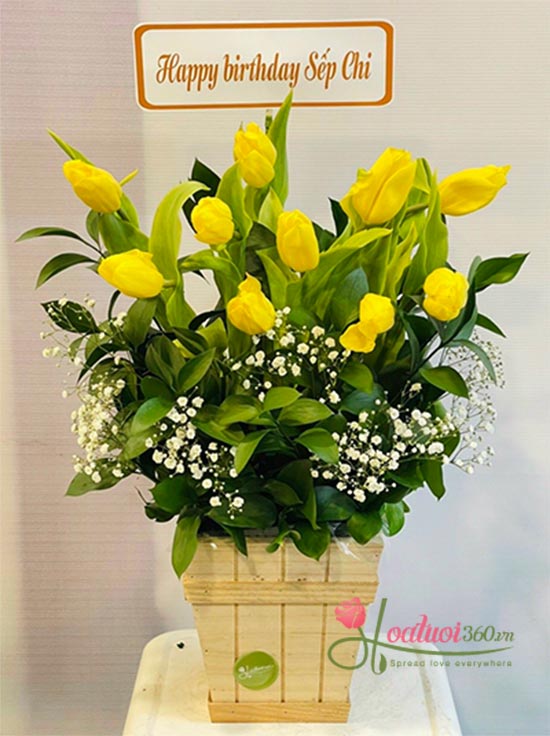 Hộp hoa tulip vàng - Sự hạnh phúc