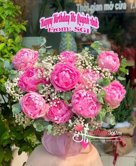 Hoa mẫu đơn hồng - Tình yêu rực rỡ