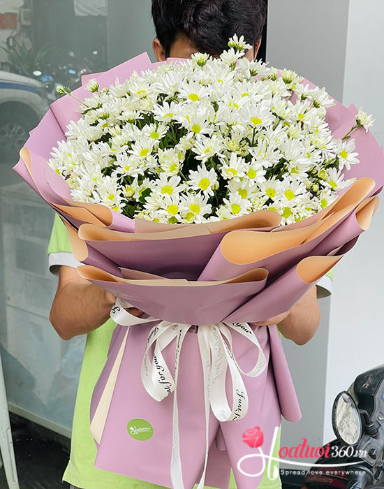 Bó hoa cúc họa mi - Chiều đông trên phố