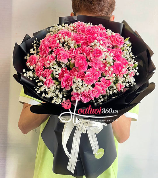 Bó hoa cẩm chướng - Người tình hoàng hôn