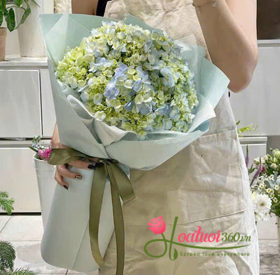 Bó hoa cẩm tú cầu - Only hope