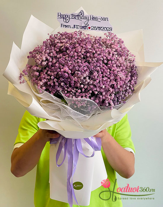 Bó hoa baby tím - Tình ca miên man 