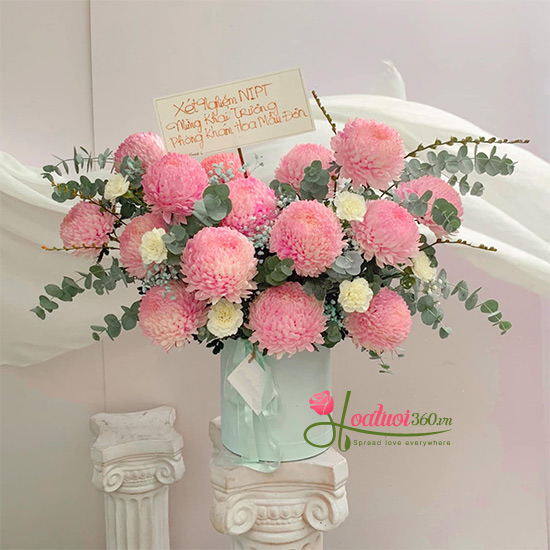 Hộp cúc mẫu đơn hồng - Butterflies