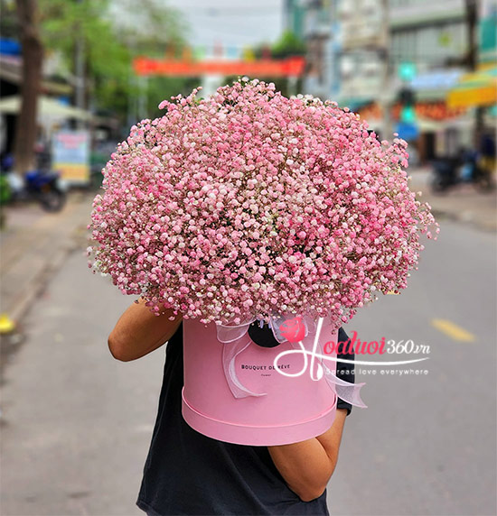 Hộp hoa baby hồng - Phút ban đầu