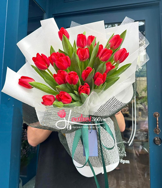 Bó hoa tulip đỏ - Lập trình trái tim