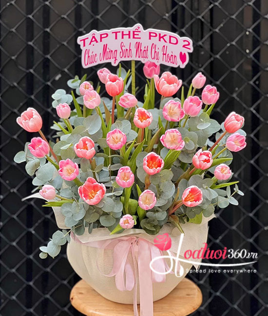 Chậu hoa tulip hồng - Rung động yêu thương