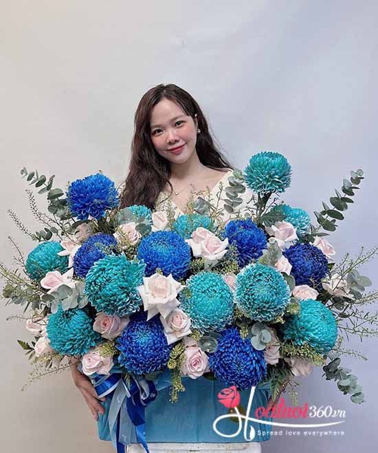 Hoa cúc mẫu đơn - Phồn hoa