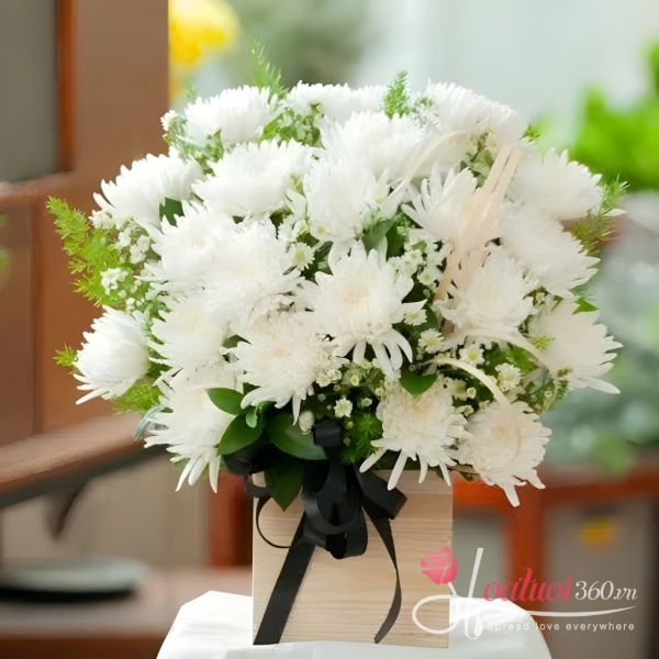 Hộp hoa viếng đám tang - Ký ức còn mãi