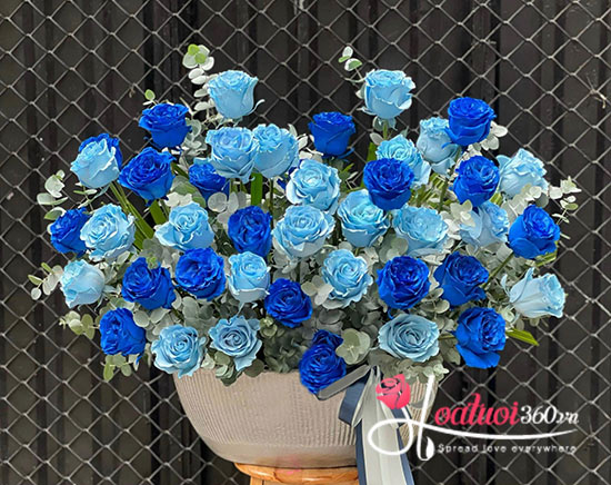 Hoa hồng Ecuador xanh - Ta có nhau