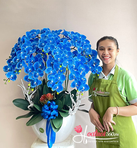 Hoa lụa cao cấp - Chạm đến vinh quang