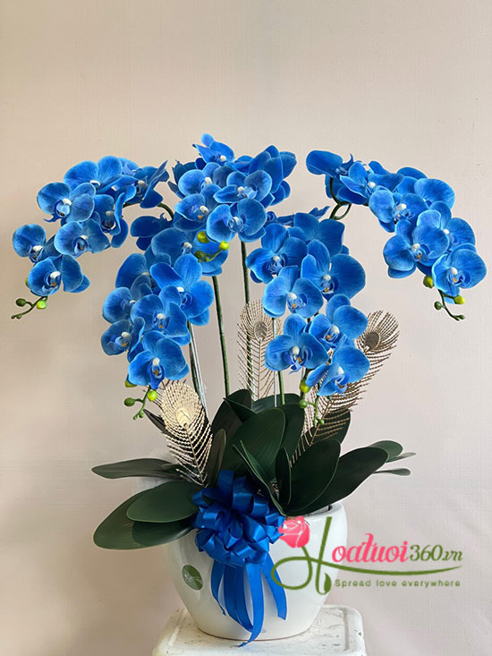 Hoa lụa cao cấp - Khúc hát tươi đẹp