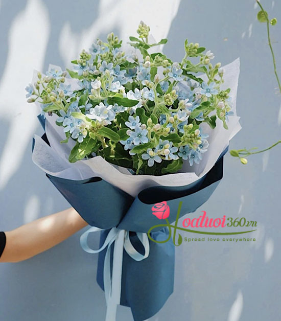 Bó hoa sao xanh - Ngày đẹp trời