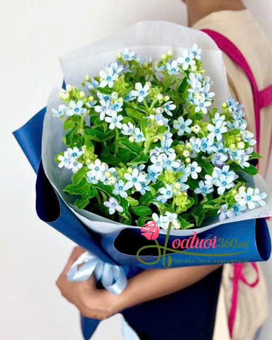 Bó hoa sao xanh - Si mê