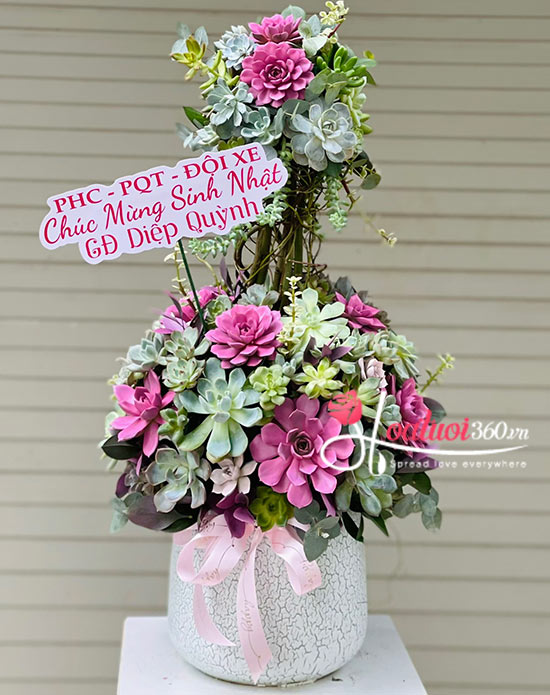 Chậu hoa sen đá - Dâng trọn yêu thương