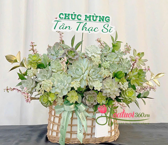 Giỏ hoa sen đá - Nhất lộ sinh hoa