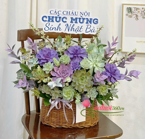 Giỏ hoa sen đá - Tuổi xuân dài lâu