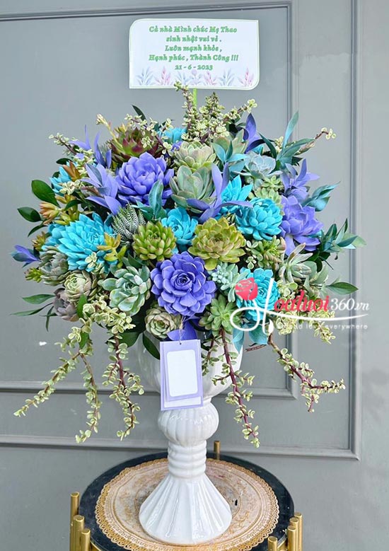 Bình hoa sen đá - Ngàn lần như ý