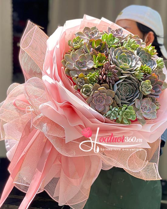 Bó hoa sen đá - Muôn điều tốt đẹp