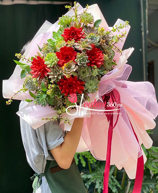 Bó hoa sen đá - Kiều diễm sắc hoa