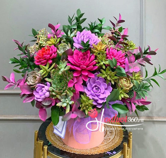 Hộp hoa sen đá - Gió thu lãng mạn