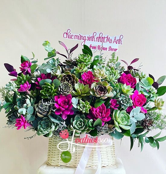 Giỏ hoa sen đá - Ngày càng thêm sắc