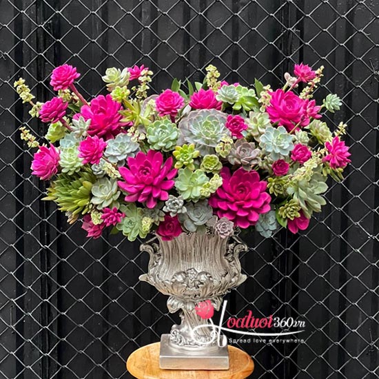 Bình hoa sen đá - Biểu tượng hoàn mỹ