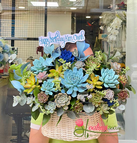 Giỏ hoa sen đá - Muôn kiểu yêu thương