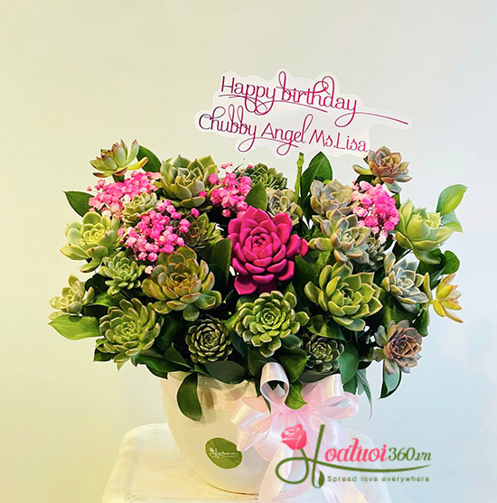 Chậu hoa sen đá - Hạnh phúc nở hoa