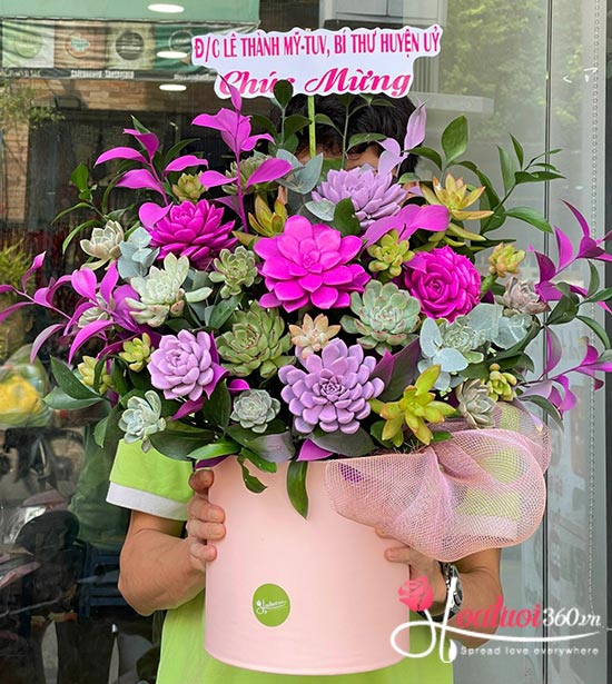 Hoa sen đá - Vạn sự tốt đẹp