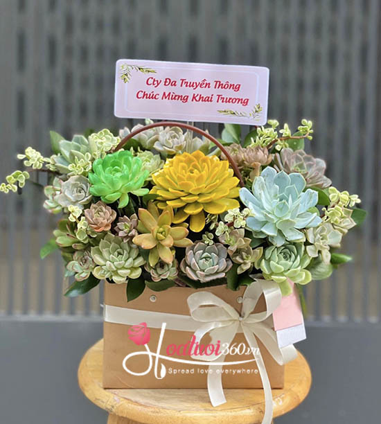 Chậu hoa sen đá - Hồng phát khởi tài