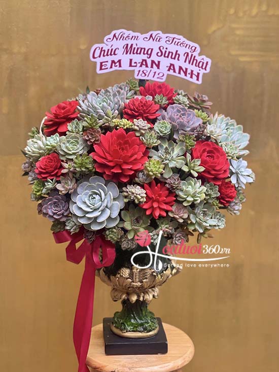 Bình hoa sen đá - Rực rỡ muôn phương