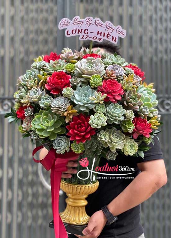 Chậu hoa sen đá - Vinh hoa phú quý