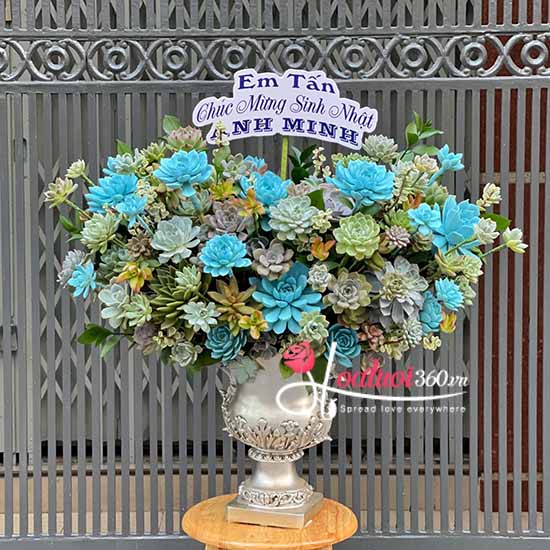 Bình hoa sen đá - Hưng thịnh