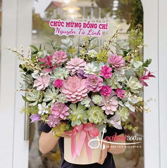 Chậu hoa sen đá - Lộc tài trù phú