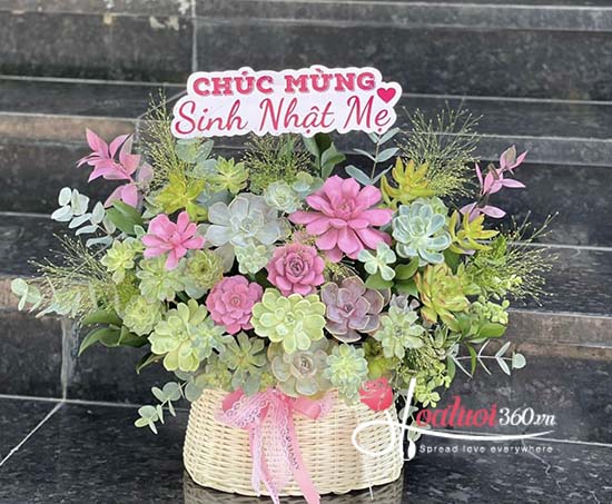 Giỏ hoa sen đá - Phú quý nở hoa