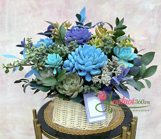 Giỏ hoa sen đá - Vẻ đẹp vĩnh cửu