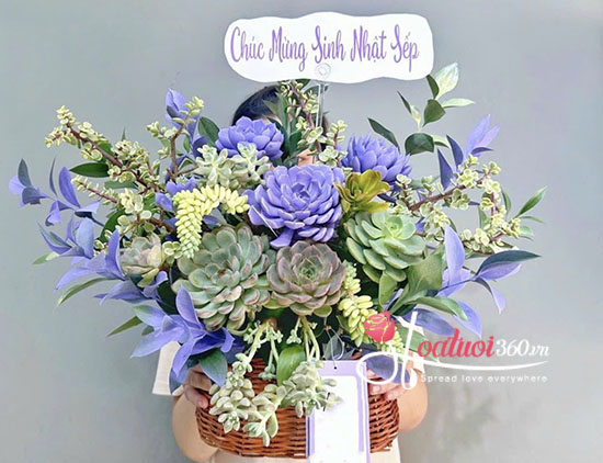 Giỏ hoa sen đá - May mắn tốt đẹp