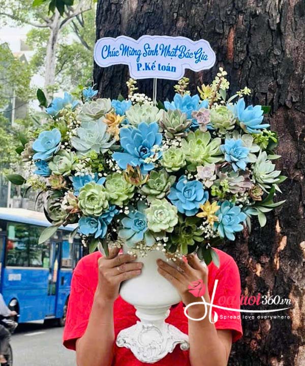 Bình hoa sen đá - Gửi ngàn yêu thương